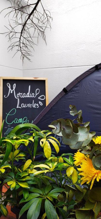 Moradia Laureles Medellin Medellín Exterior foto